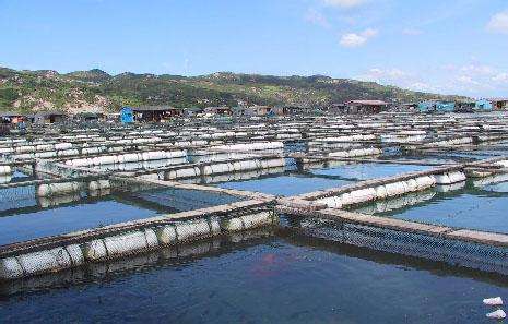 德瑞亞空壓機助力淡水養(yǎng)殖，營造和諧水產(chǎn)市場